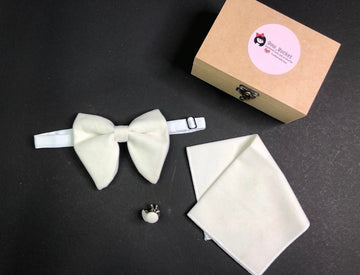 White bow tie